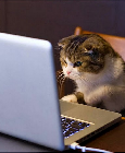 internet-service.png